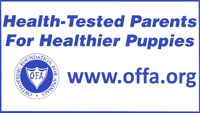 Health-tested parents for healthier puppies — OFA