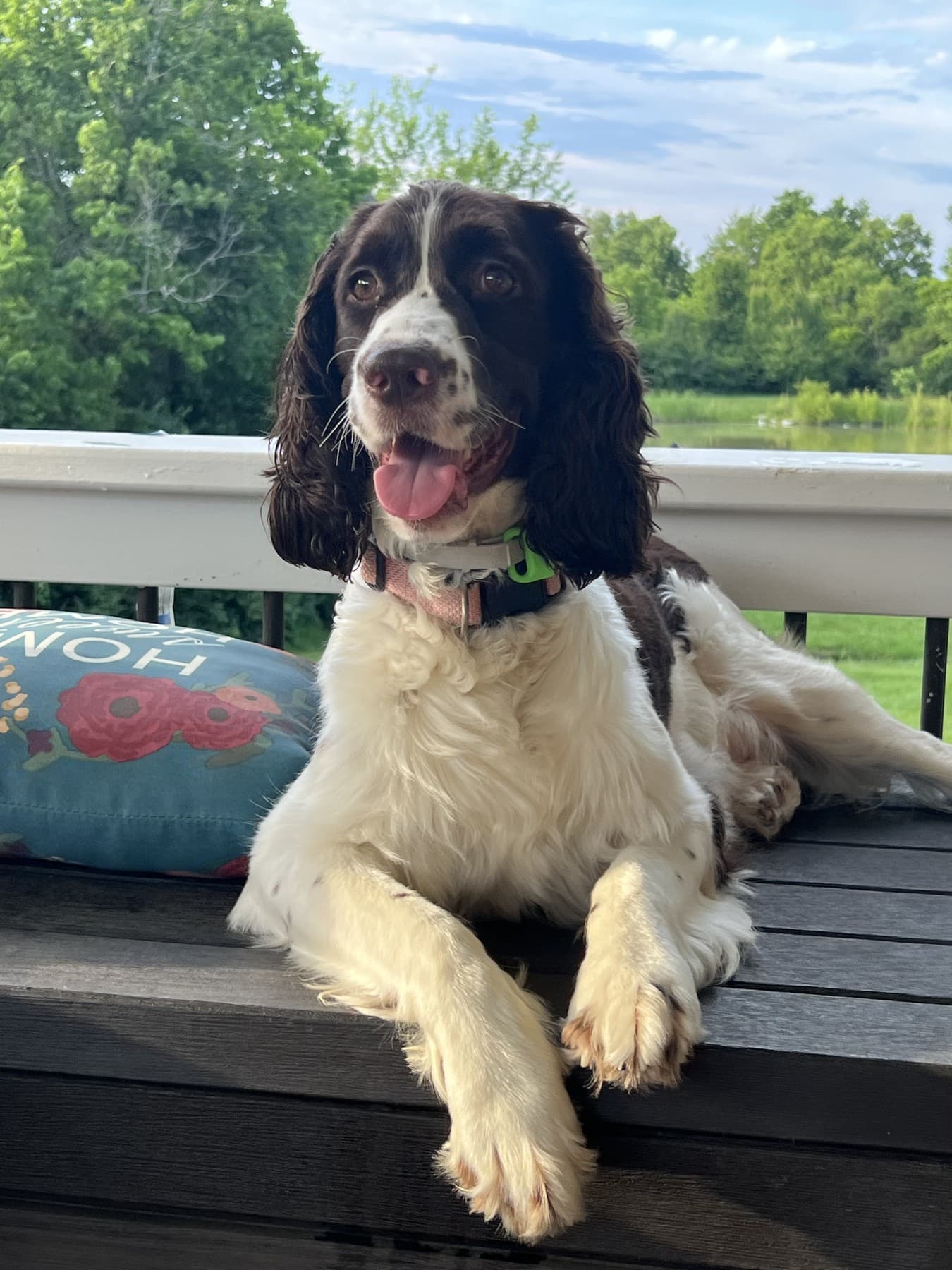 Abigail outdoors at home