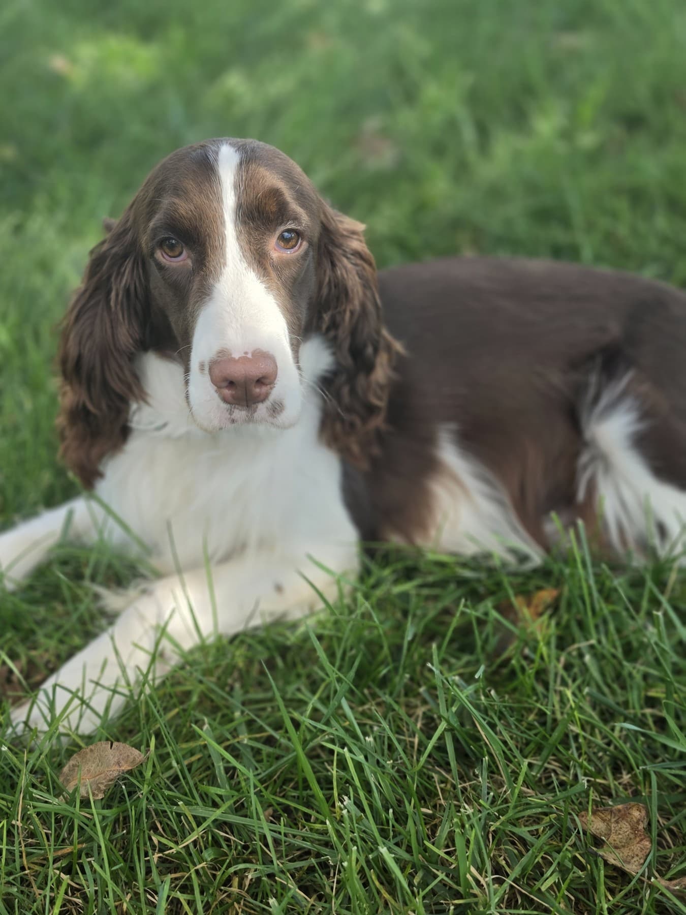 Selah outdoors at home